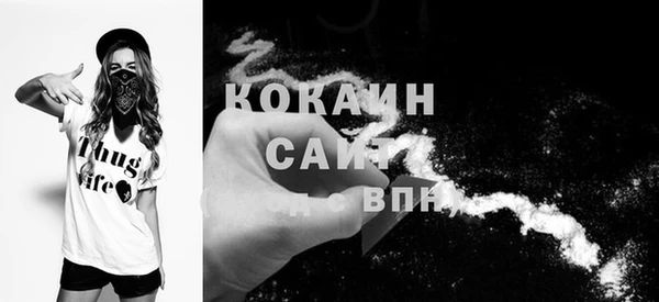 Альфа ПВП Кукмор