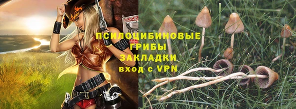 ешки Анжеро-Судженск
